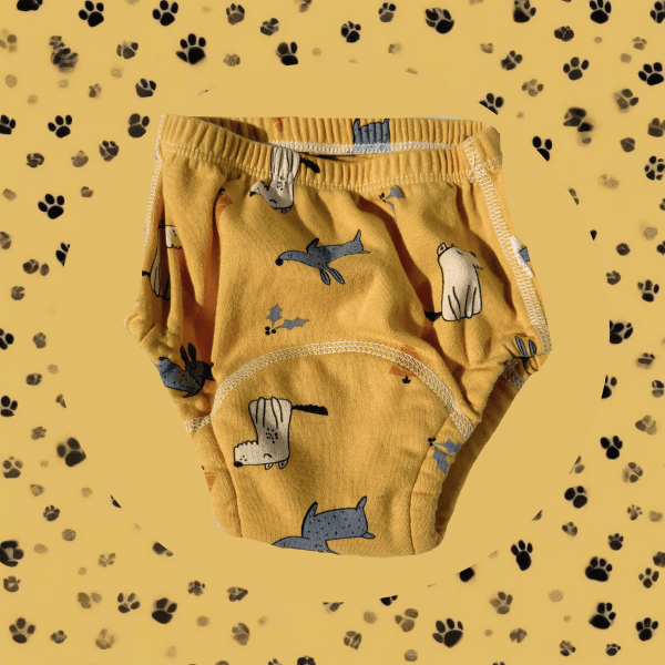 Tummies & Trainers Pack